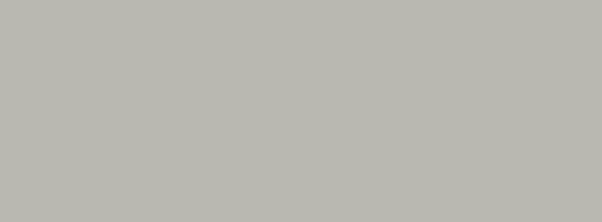 Georgina Grey cabinet color
