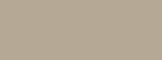 Beauty Beige cabinet color