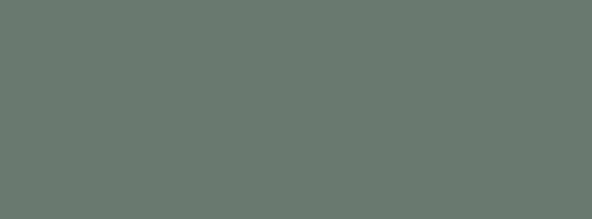 Gourgeos Green cabinet color